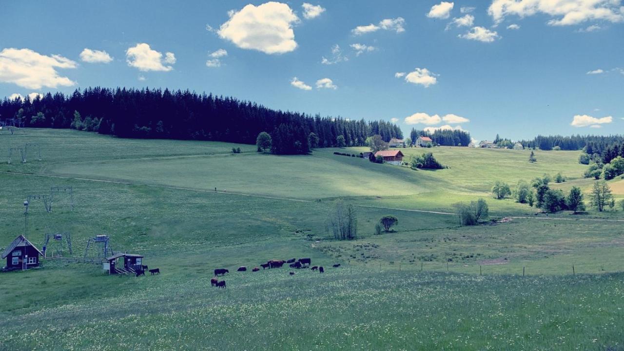 Daheim Im Hirschen Apartment Schönwald Bagian luar foto